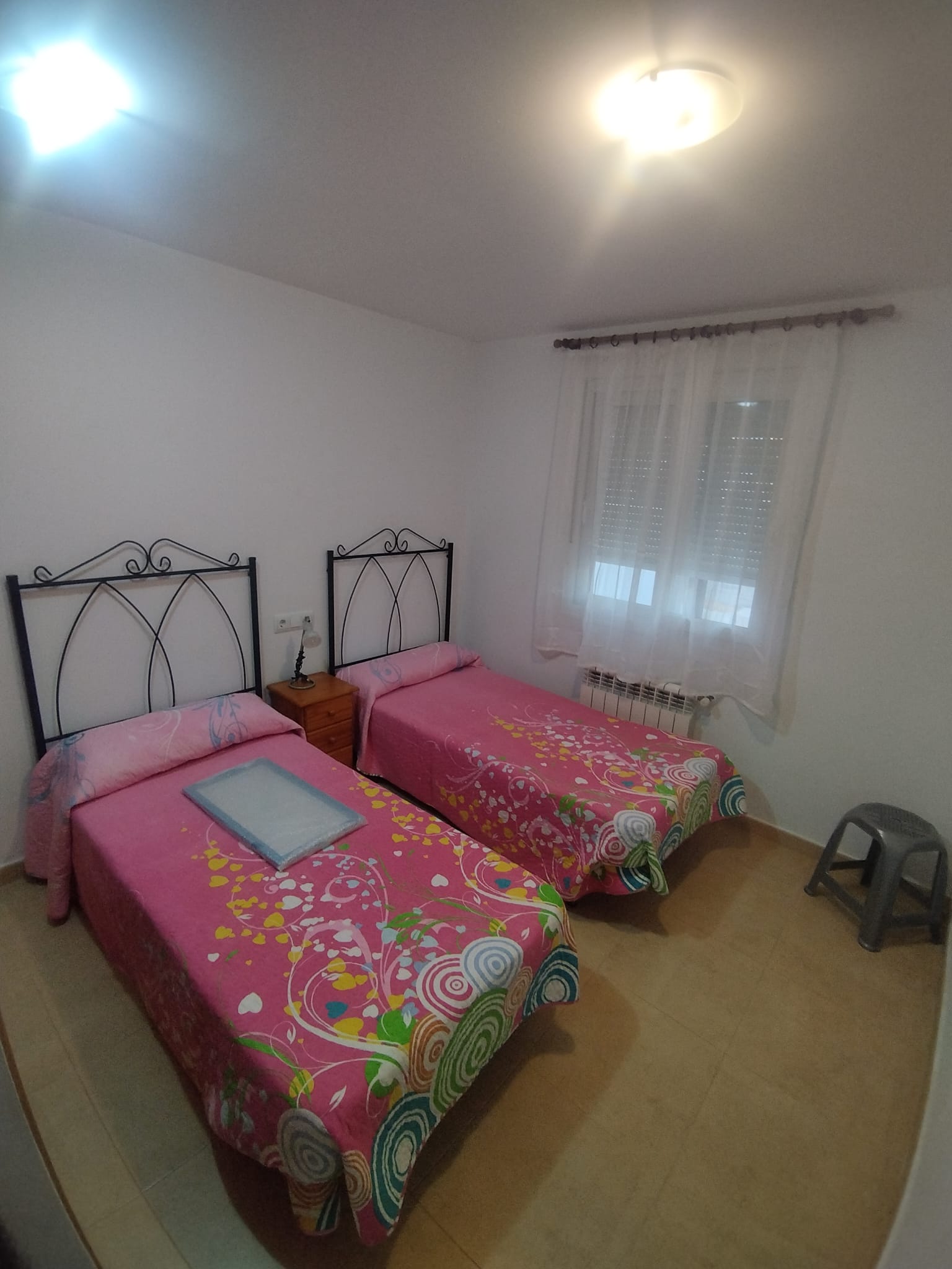 50059_WhatsApp Image 2026-02-09 at 19.11.02 (1).jpeg